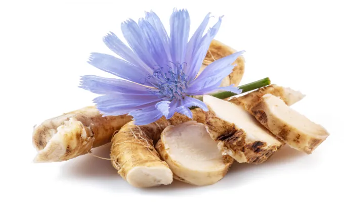 Chicory Root Inulin – Emma Relief prebiotic fiber ingredient